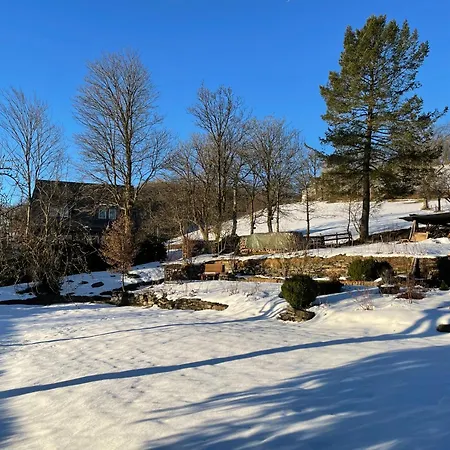 Kornblume - Drostenhof Nordenau Schmallenberg