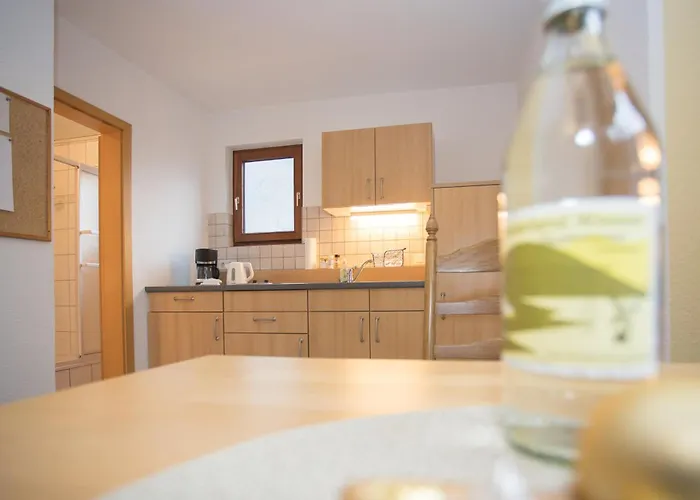 Kornblume - Drostenhof Nordenau 公寓