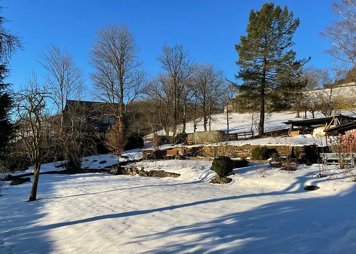 Kornblume - Drostenhof Nordenau 施马伦贝格