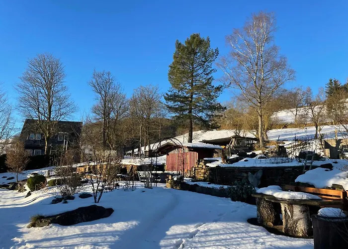 公寓 Kornblume - Drostenhof Nordenau *